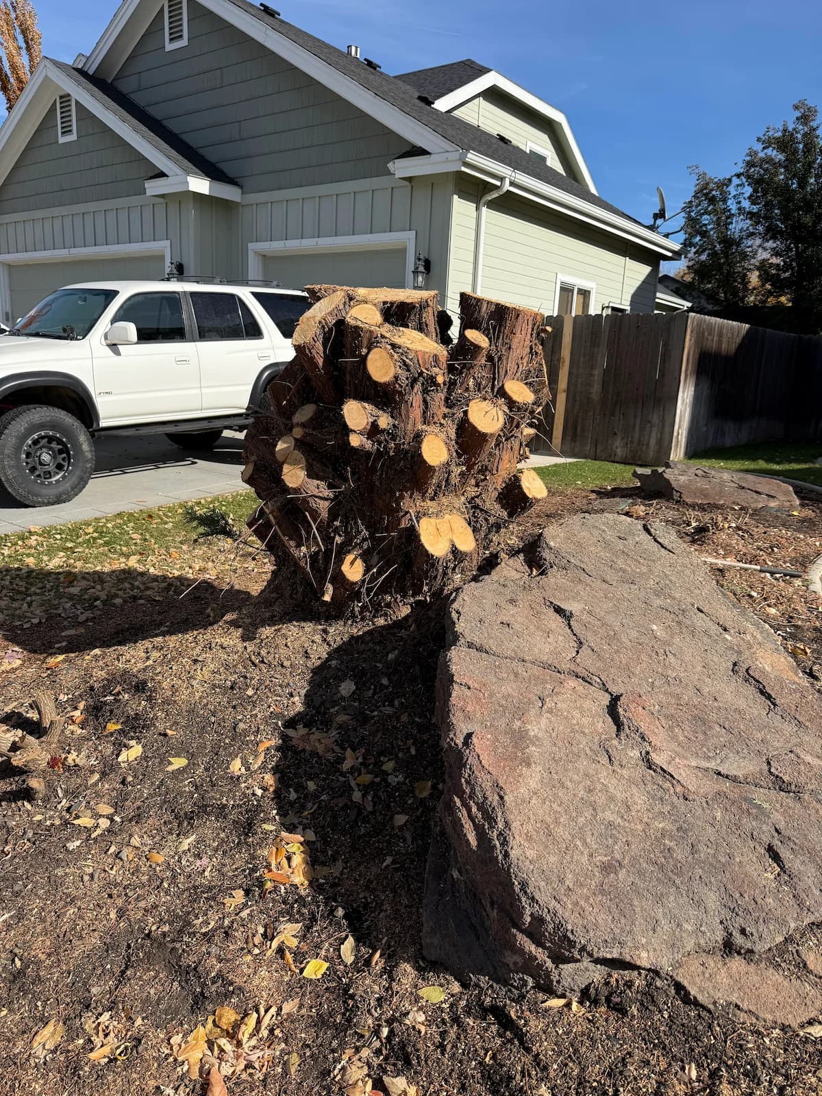 Stump grinding work example 1