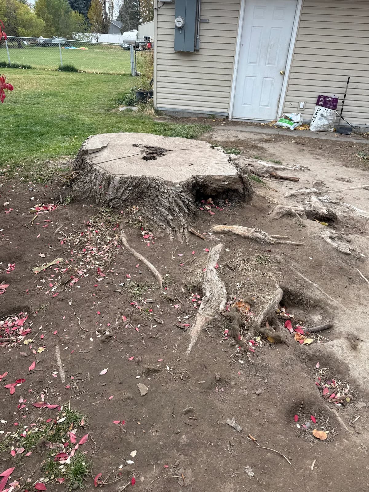Stump grinding work example 2