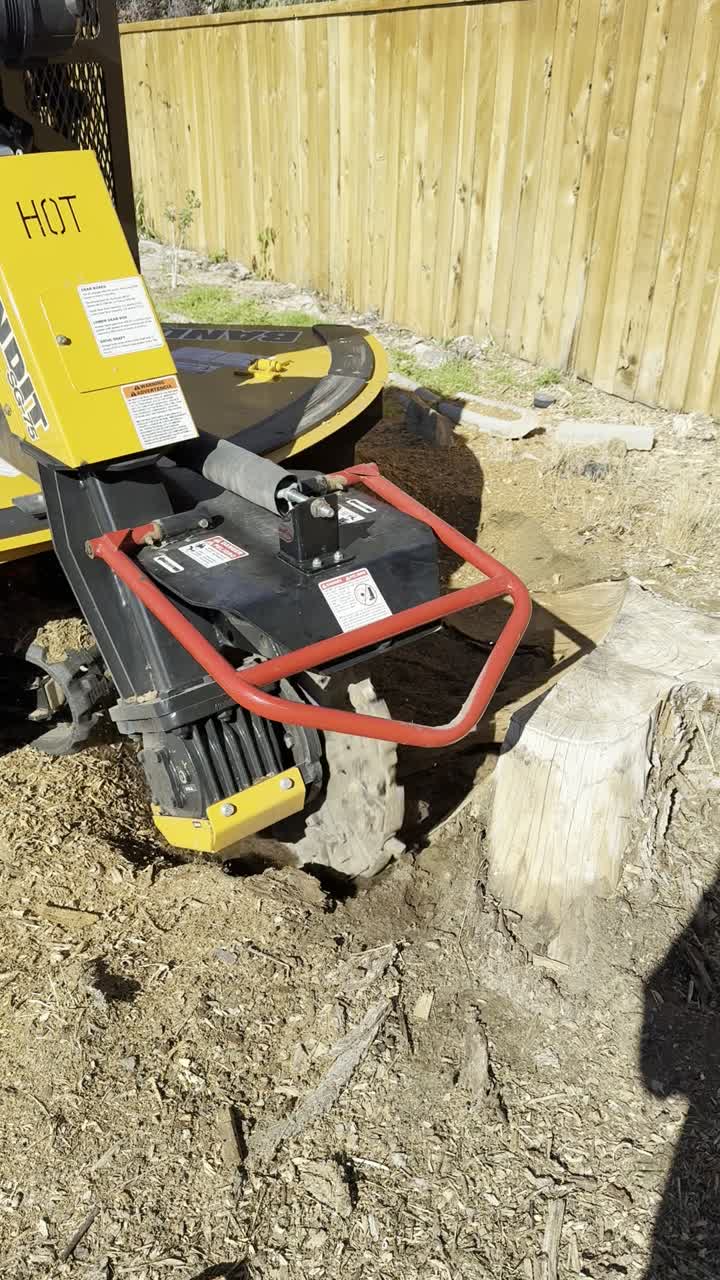 Stump grinding in action